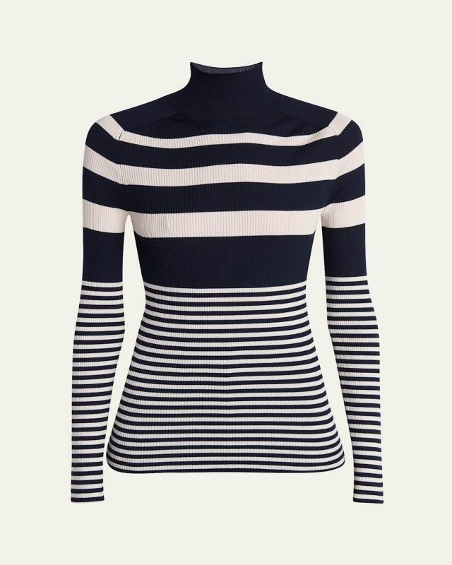 Stripe Wool Turtleneck Sweater